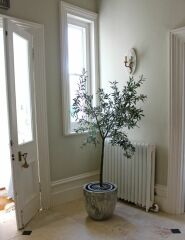 Good white paint for a south east facing room?