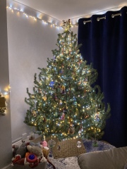 Show me your Christmas tree / decorations please. In need of inspiration