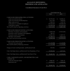 Kellie-Jay's New Political Party