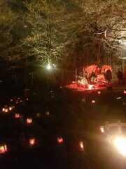 Come and tell me your dull and unexciting news 24: Calmly through the day 