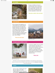 To ask you to please help hedgehogs and other wildlife prepare for winter