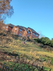 Come chat hiking with me!