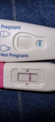 Pregnant or not 