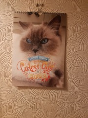 My cat is in a calendar 