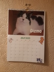 My cat is in a calendar 