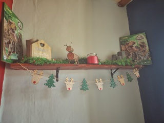 Non judgemental Christmas Decorations thread. 