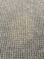 Carpet stains - any suggestions?