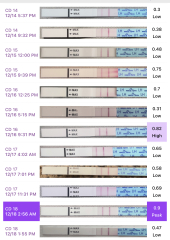 Irregular LH chart/ Circle on Digital OPK 