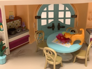To show you this Playmobil hospital 