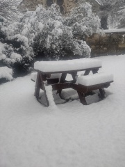 Is it snowing where you live?