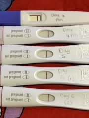 IVF Oct/Nov