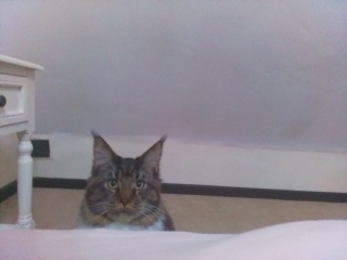 Come and tell me your dull and unexciting news 24: Calmly through the day 