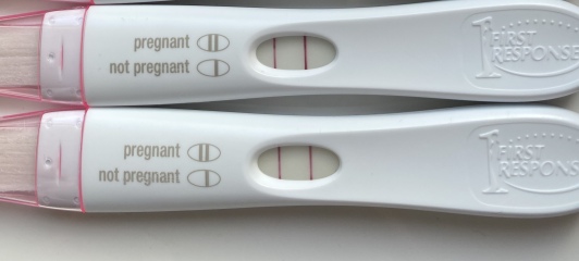 Due August 2023 (Thread 2)