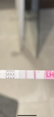 Ovulation test opinion