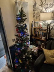 Show me your Christmas tree / decorations please. In need of inspiration