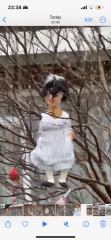 Weird dolls hanging on neighbours tree?