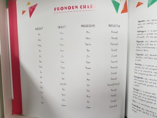 What fresh hell is this... Pronouns book for 5+