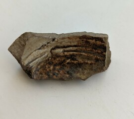 Any amateur (or actual!) archeologists about - how old do you think this is?