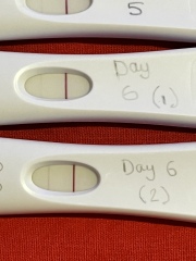 IVF Oct/Nov
