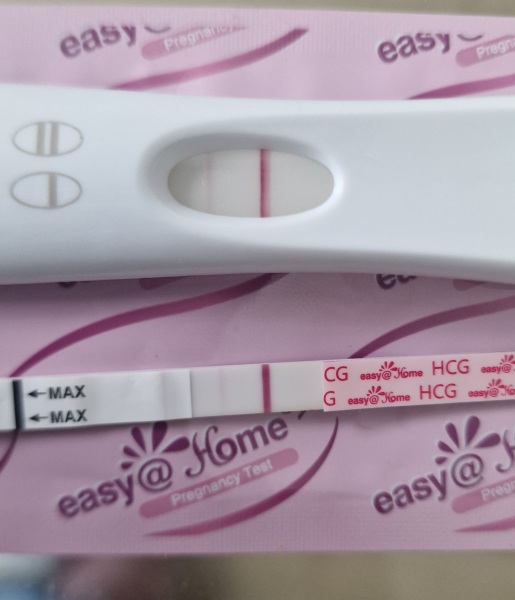 FET/IVF - January 2023