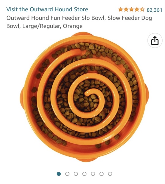 Slow feeder bowls?