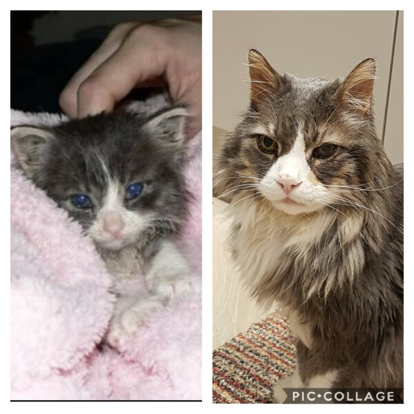 Had to say goodbye to my beautiful boy this morning 