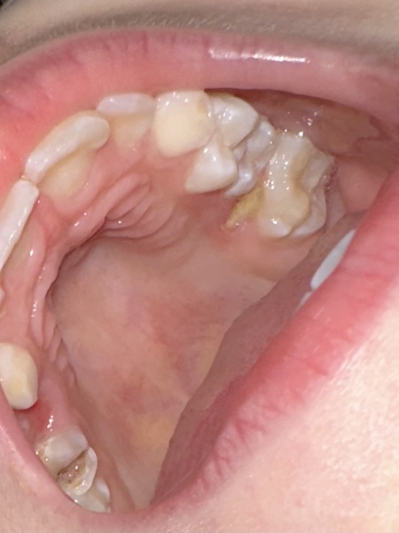 Dentist