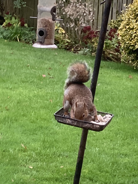 Adding pictures on the iPhone app