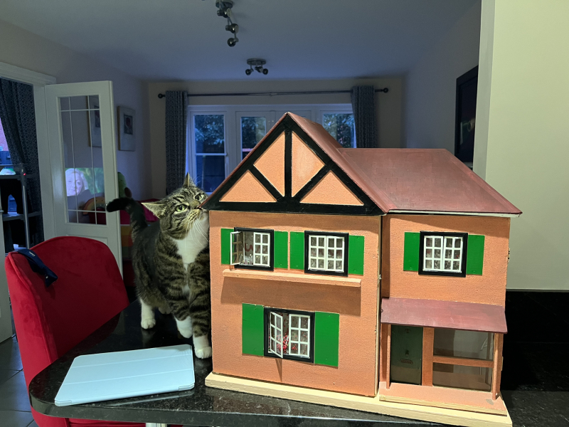 Does anyone have a dolls house? As a hobby?