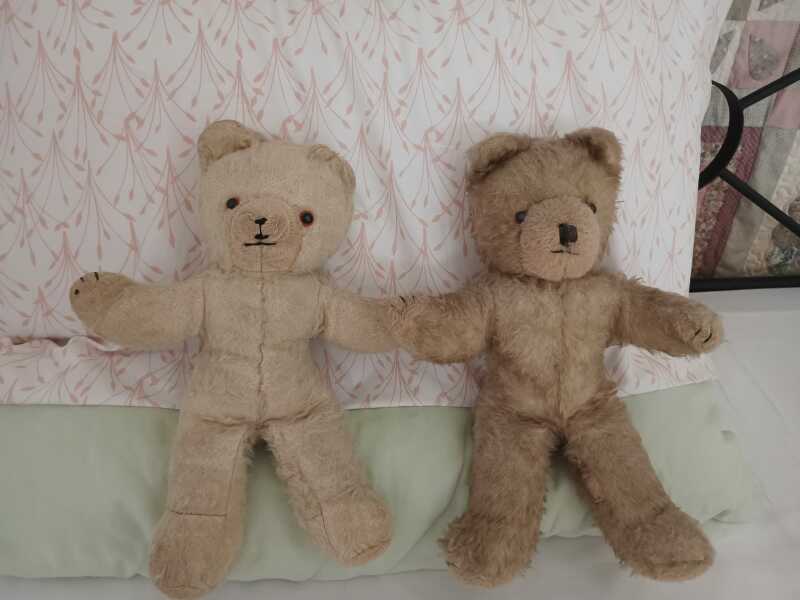 Harry reveals Charles carries a teddy because of childhood bullying