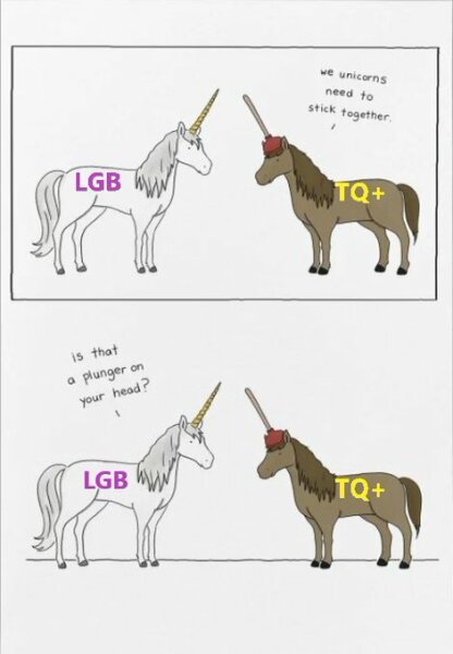 Why is there 'no LGB without the T'?