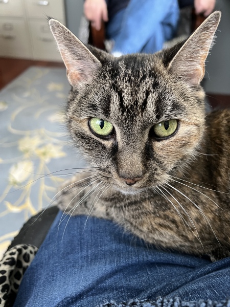 Thread 4 - TalkExiles: "The Planet Goes On Being Round"