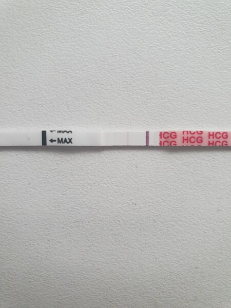 Ovulation after pregnancy loss