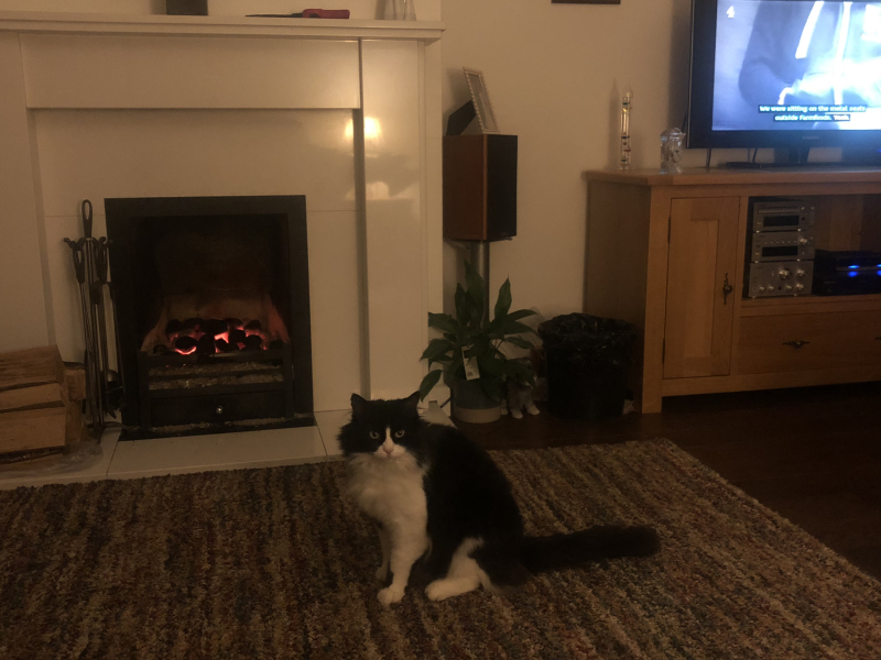 What’s Happening In Your House?