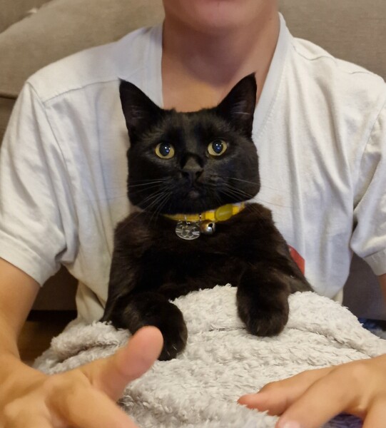 Show off your rescues!