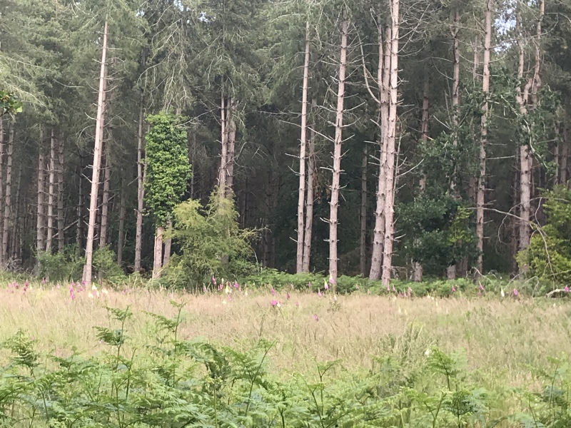 Places to live for off road running/biking