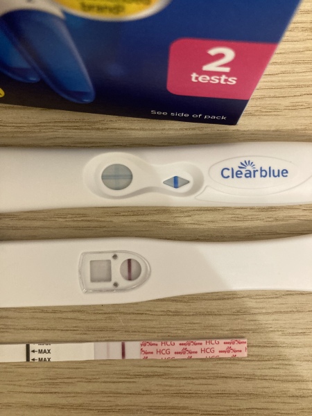 Who’s in their fertile window now?