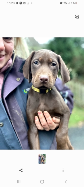 Due March 2023 - Thread 7