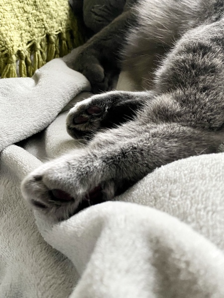 Thread 3 - TalkExiles: "The Planet Goes On Being Round"