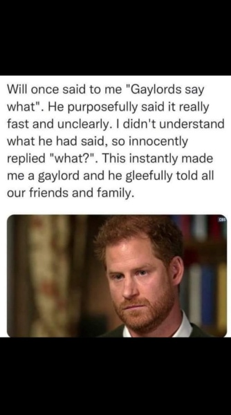 Megan sues over published letter to father but Harry published private texts 