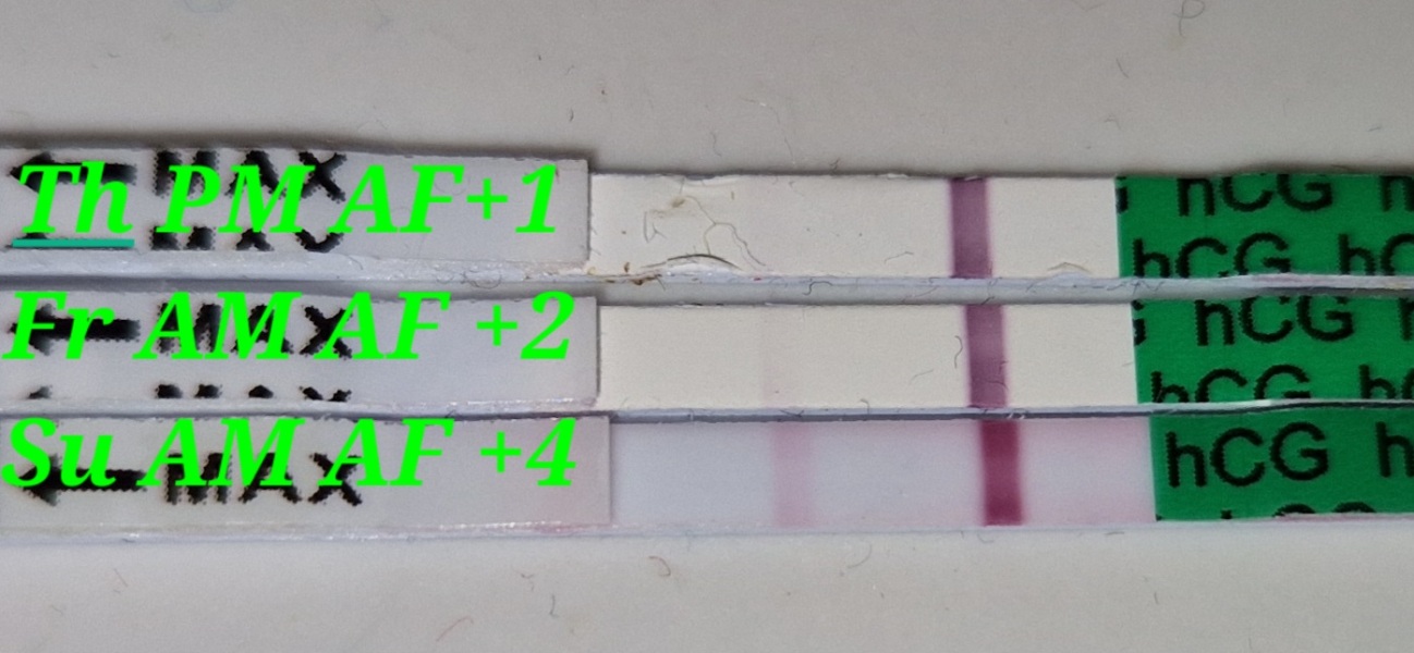 Really faint line progression at 18DPO