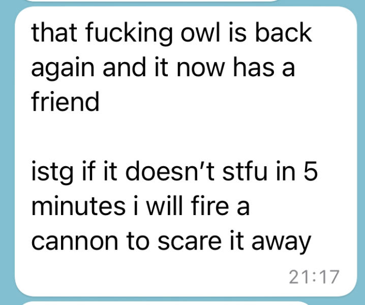 I need an owl.