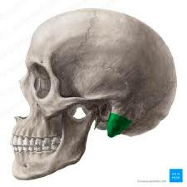 Raised lymph node baby head 