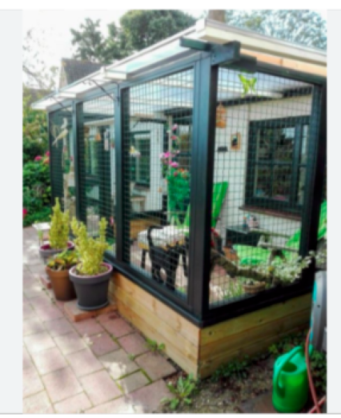 Is it cruel or kind to keep a cat in?