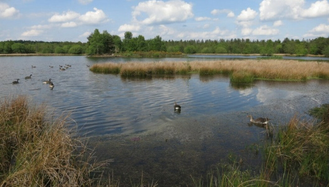 To think this charity deserve prosecution for being so bloody stupid? 