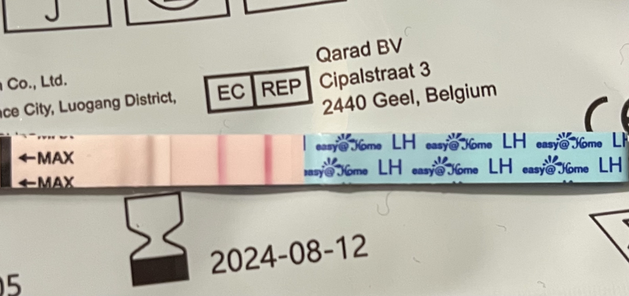 Ovulation test nightmare