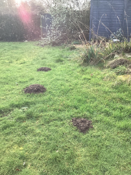 Soil piles please help 🙏 