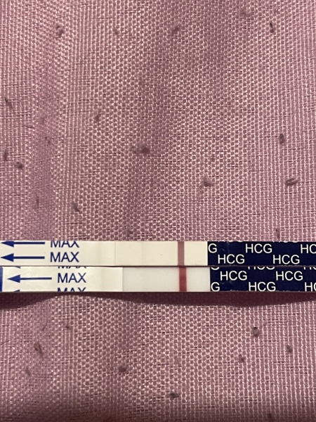 Looking for TTC buddies! (November/December 2022)