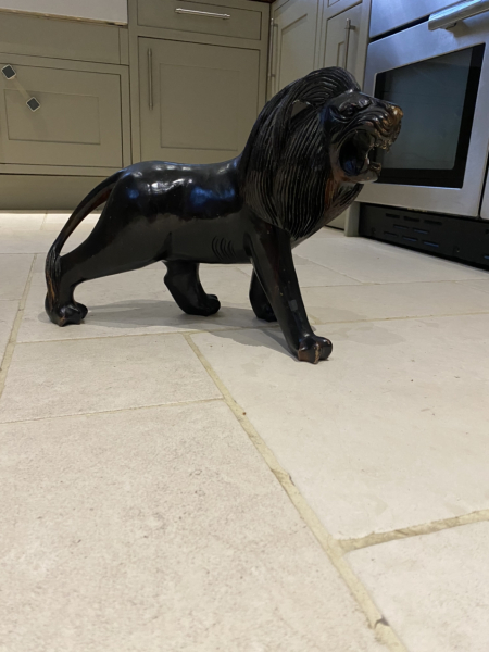 To insure my lion? Photo