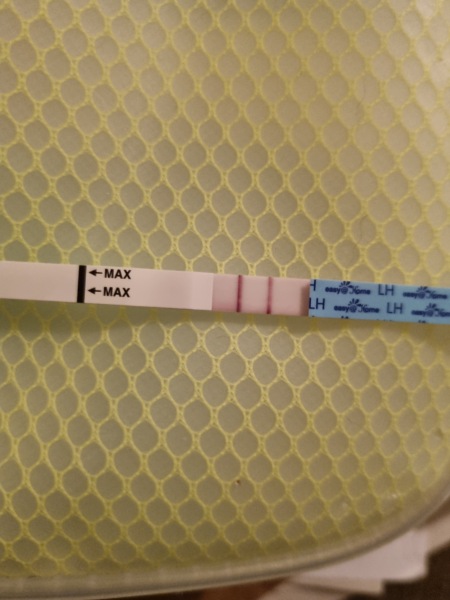 Ttc after miscarriage